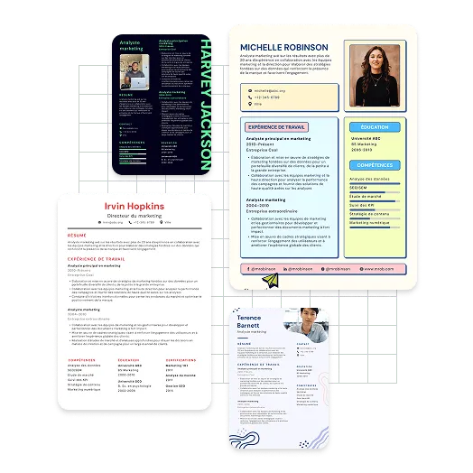 Exemples de CV