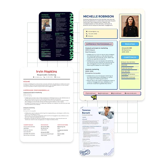 Exemples de CV
