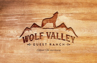 17 Wolf Logos That Will Make You Howl