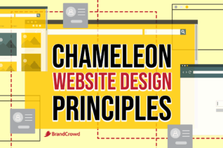 Chameleon Website Design Principles