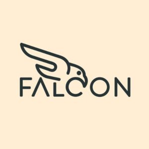 49 Falcon Logos That Are Soaring With Style - BrandCrowd Blog | BrandCrowd