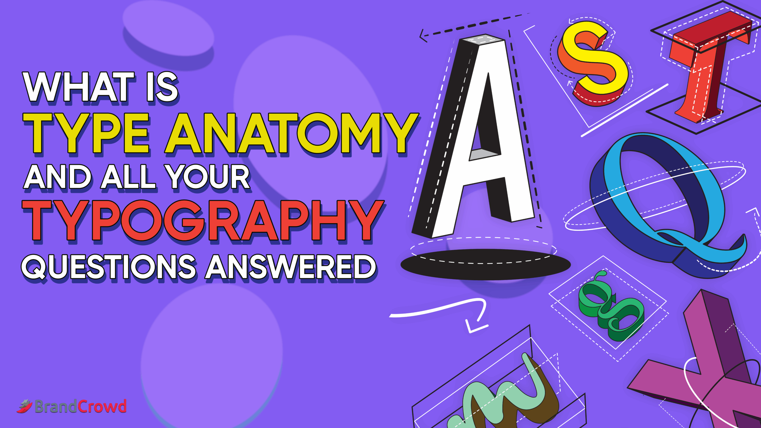 What Is Type Anatomy and All Your Typography Questions Answered