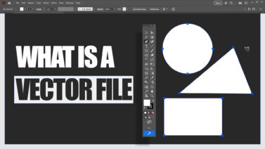 What Is a Vector File and How Is It Used