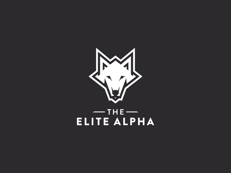 Alpha Logo Design by Neil