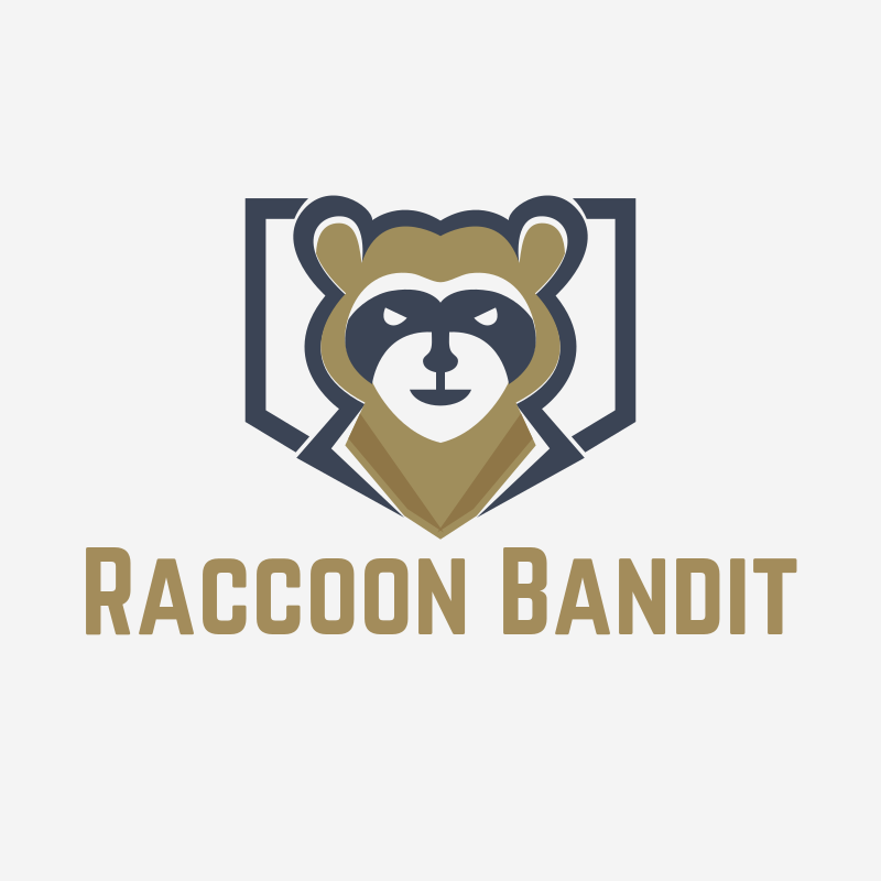 Raccoon Bandit
