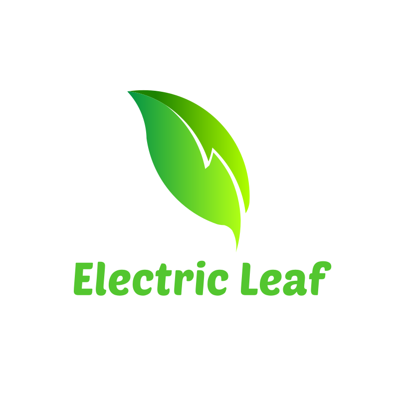 Lightning Leaf Logo Design