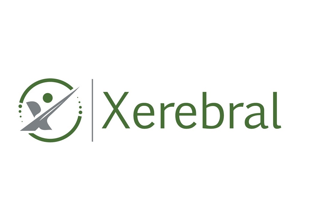 Xerebral Consulting Logo Design by Maxo-Biz