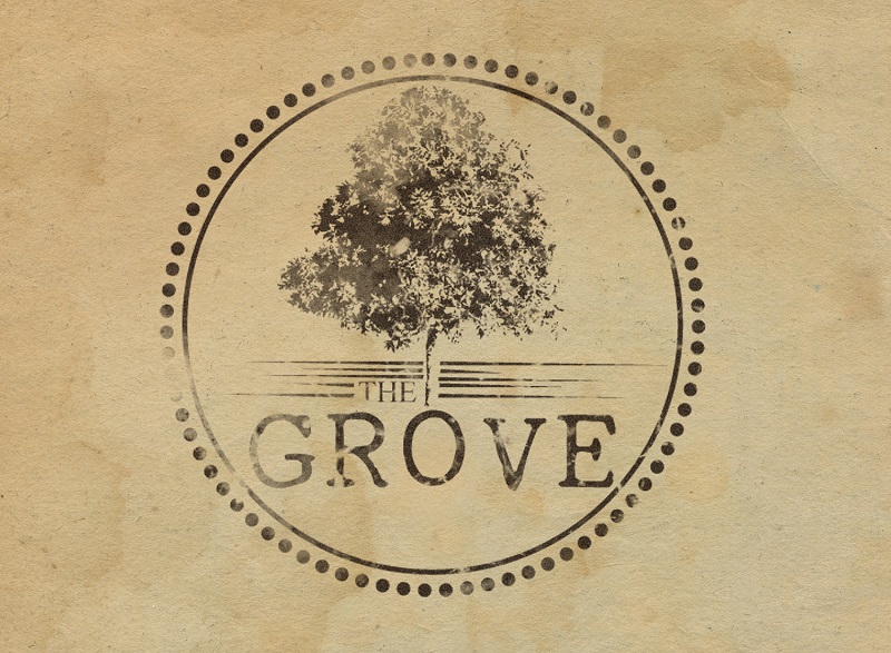 Clothing Companies With Tree Logos 46 Tree Logos For A Solid Business 