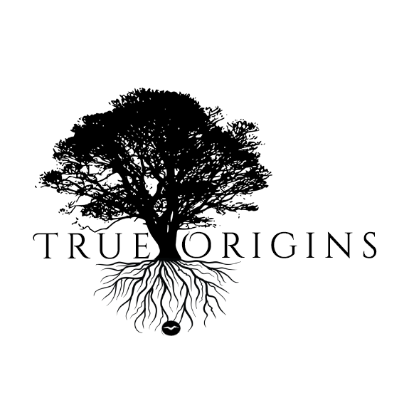 True Origins Logo Design by Westruk