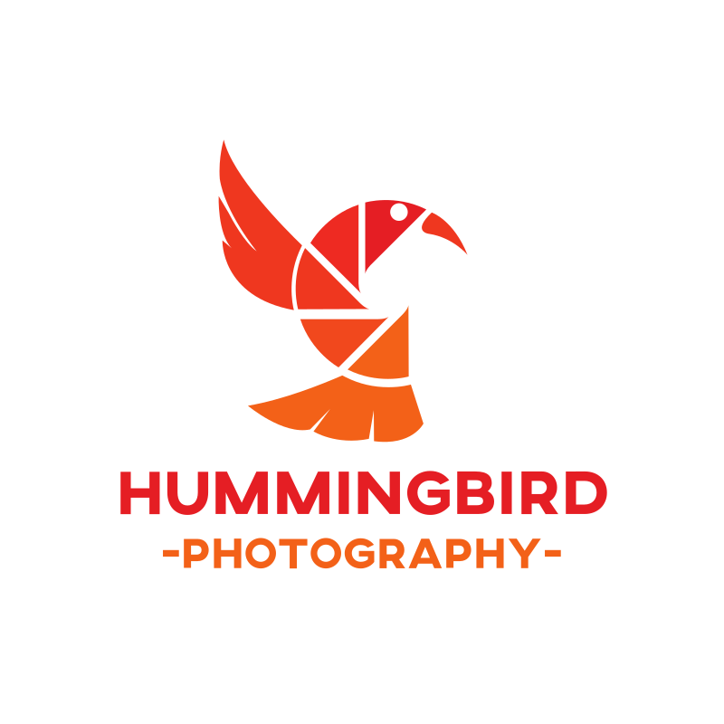 Hummingbird Photography Logo Design