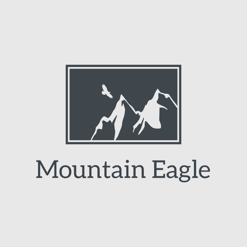 Mountain Eagle Logo Design