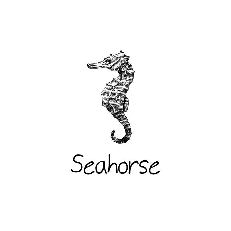 Seahorse Logo Design