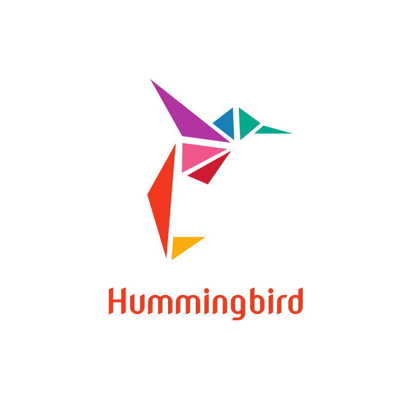 Colorful Hummingbird Triangle Logo Design