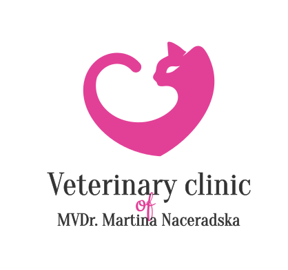 Cat Veterinary Clinic Logo Design by VGB