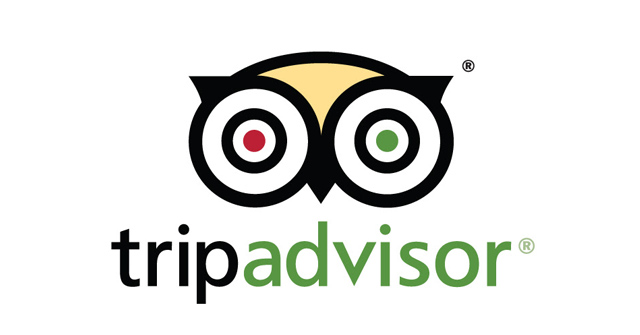 Tripadvisor Owl Logo Design
