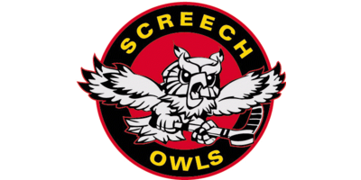 Screech Owls Logo Design