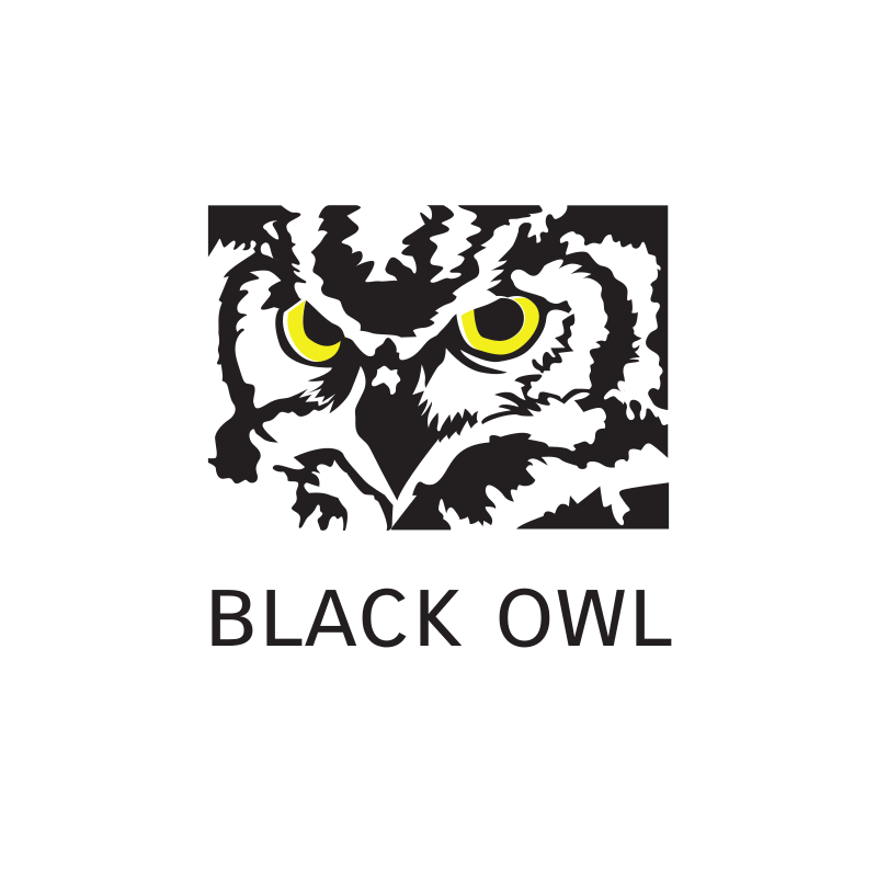 Black Owl Logo Design