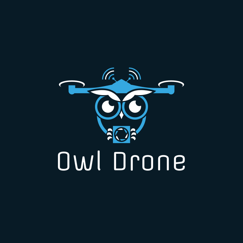 Owl Drone Logo Design