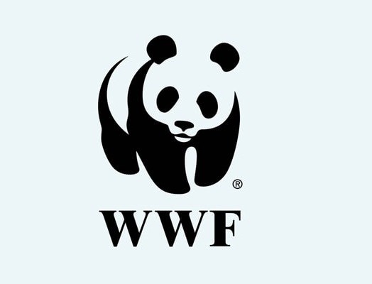 WWF Cute Panda Logo Design