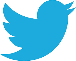 Twitter Bird Logo Design