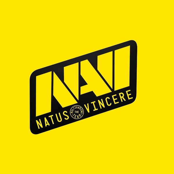 Navi Logo Design