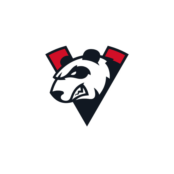 Virtus Pro Logo Design