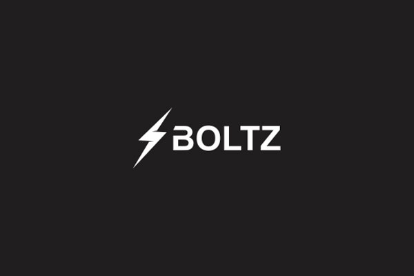 Bolt Logo Design by Danycat