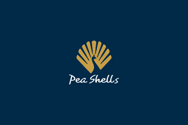 Shell Logo Design by Ztoalphabet