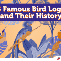 a-group-of-birds-sitting-on-branches-with-a-text-that-reads-15-famous-bird-logos-and-their-history