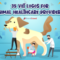 the-header-features-an-illsutration-of-animal-healthcare-professionals-attending-to-a-dog-with-the-blog-title-on-the-upper-region