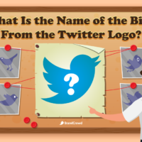 the-header-features-a-corkboard-with-information-about-the-twitter-logo-while-the-blog-title-typography-is-above
