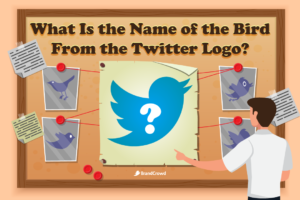 What Is the Name of the Bird From the Twitter Logo?