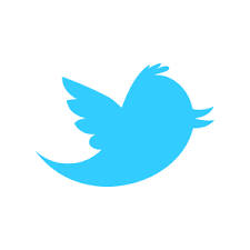 twitter-bird-logo-in-2010