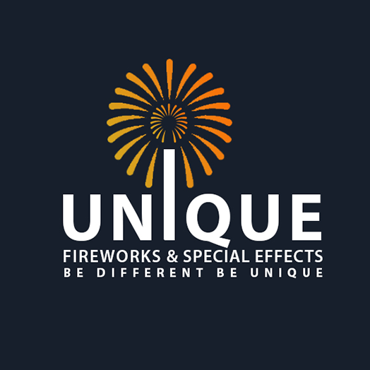 fireworks logo design