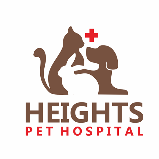 35 Vet Logos for Animal Healthcare Providers | BrandCrowd blog