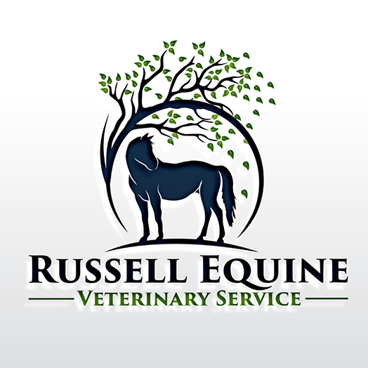 equine veterinary symbol