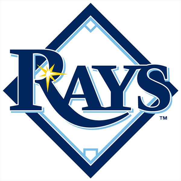 Baseball teams logo
