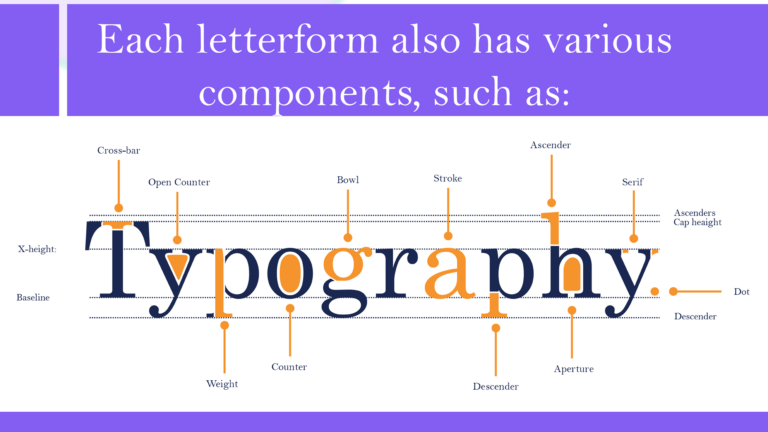 What Is Type Anatomy and All Your Typography Questions Answered ...